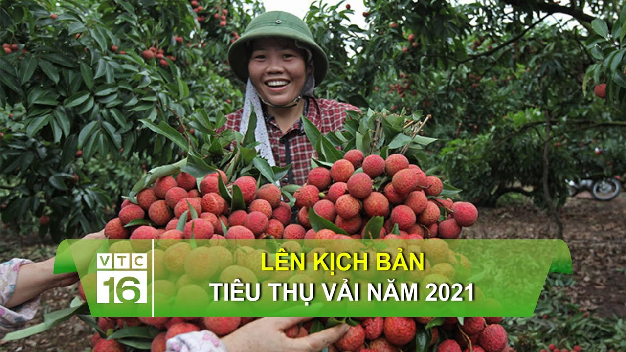 Hà Nội FC gửi công văn kiến nghị trọng tài làm trái quy định V.League