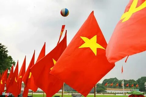 Mẹo làm mướp đắng hết đắng tới 70% không phải ai cũng biết