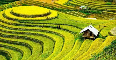 FinSpark 2025 khép lại với đêm chung kết bùng nổ