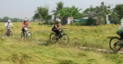 Biến động điểm chuẩn Đại học Y Hà Nội bốn năm gần nhất